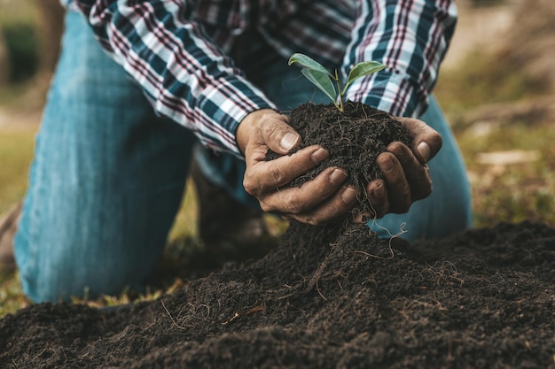 ある男性が熱帯林の土壌に苗木を植えて、地球温暖化を減らすために代替の木を植えています。世界を救い、地球温暖化を減らすという概念