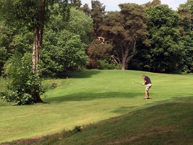 A man is playing golf on a beautiful sunny green golf course Hits the ball with a golf club