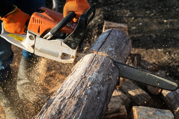 Man is sawing a large log with a chainsaw, close-up, harvesting firewood
