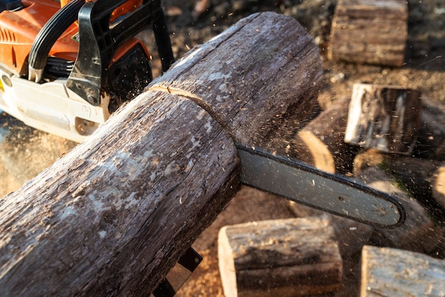 Man is sawing a large log with a chainsaw, close-up, harvesting firewood