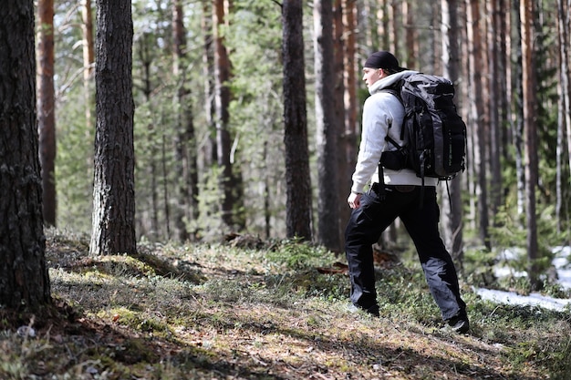 A man is a tourist in a pine forest with a backpack. A hiking trip through the forest. Pine reserve for tourist walks. A young man in a hike in the spring.
