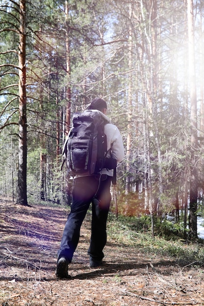 A man is a tourist in a pine forest with a backpack. A hiking trip through the forest. Pine reserve for tourist walks. A young man in a hike in the spring.