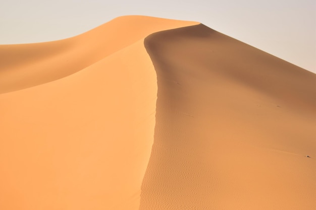 Foto l'uomo cammina sulla sabbia del deserto