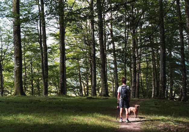 Man is walking with his dog in the middle of the forest