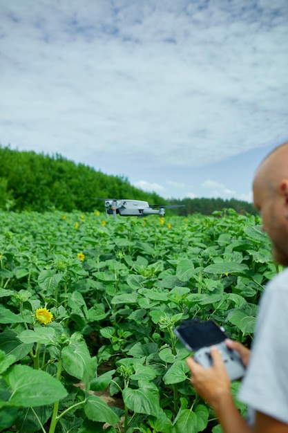 Uomo che impara a pilotare il suo drone nel maschio usando il pilotaggio di un drone volante su un campo di girasoli