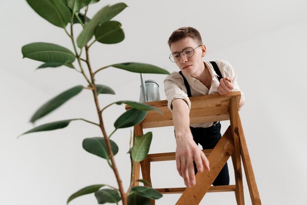 Foto uomo che guarda la pianta in piedi su una scala sullo sfondo bianco