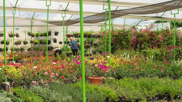 Man looking for plants for his garden design in a nursery