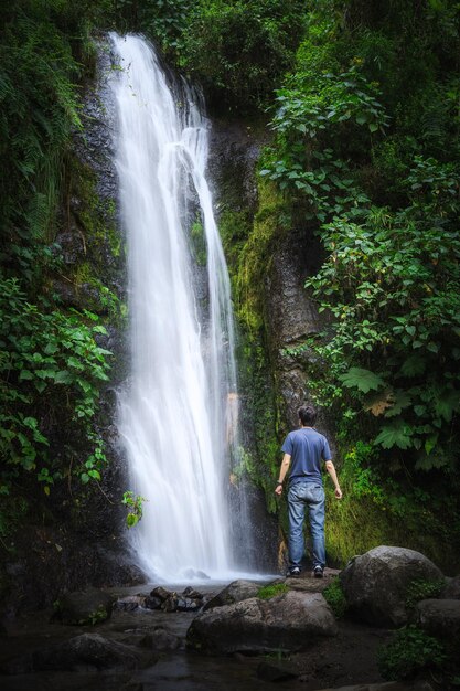 Photo man looking at waterfall in forest