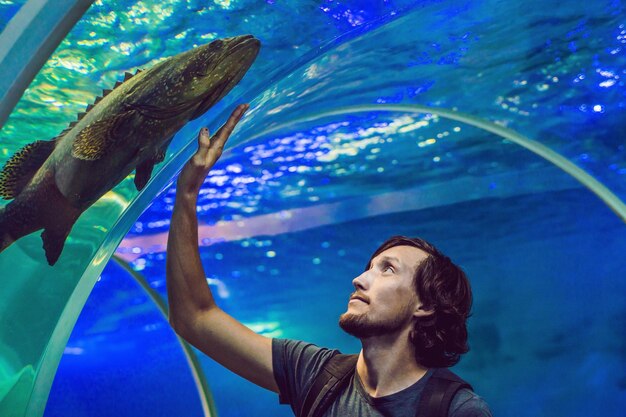 Man looks at the fish in the aquarium