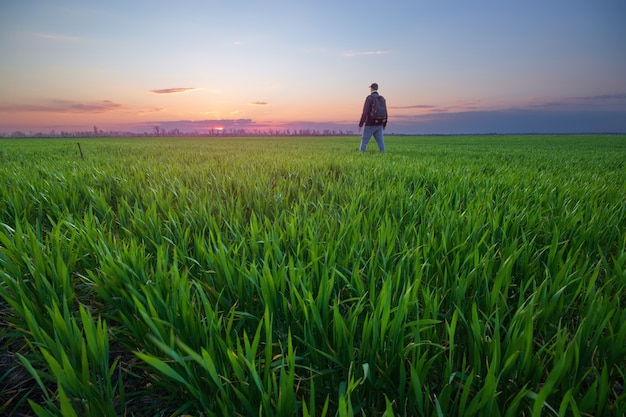 Man looks at the sky / bright spring landscape