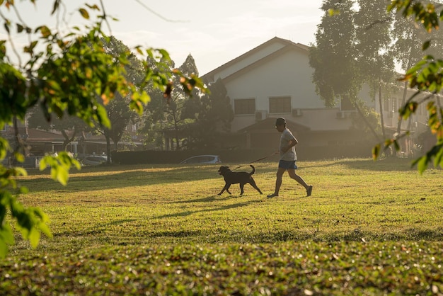 Man loopt met zijn hond in het veld