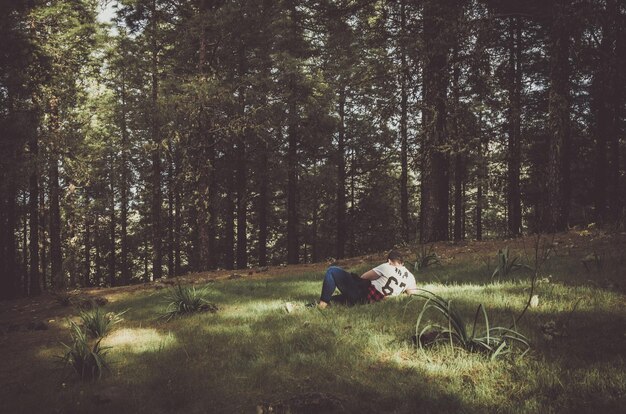 Фото Человек лежит на поле в лесу