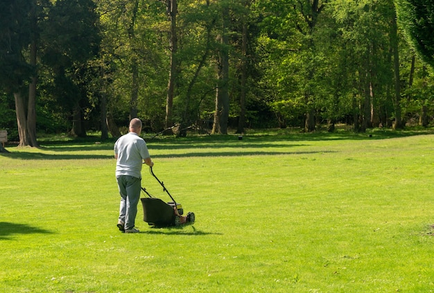 Man maait een groot gazon met bomen op de achtergrond