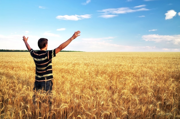 Man in meadow of golden wheat. Emotional scene.