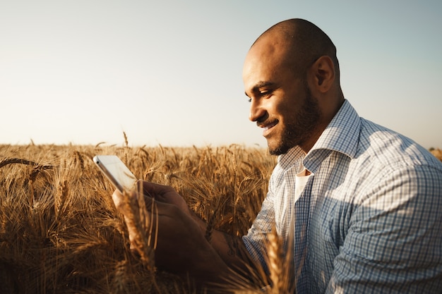 Man met behulp van digitale tablet in tarweveld bij zonsondergang