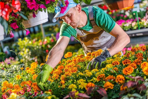 Foto man met bloemen die bloeien in de kas