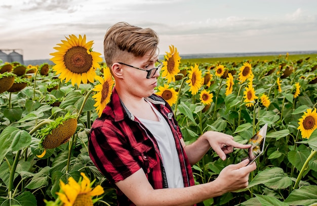 Man met bril en een tablet op het gebied van zonnebloem