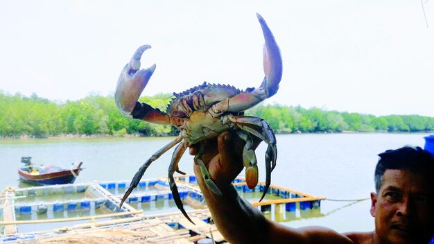 Foto man met dode krab bij het meer tegen een heldere lucht