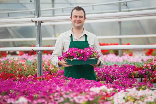 Man met een rij bloemen in de kas