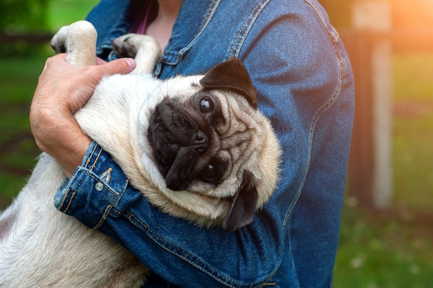 man met hond pug in handen bij zonsondergang buitenshuis