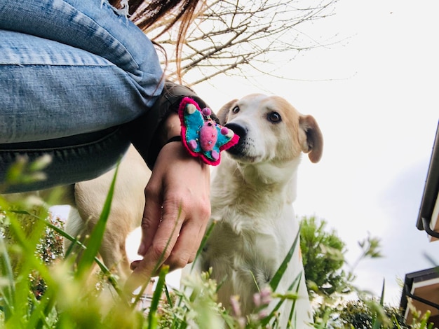 Foto man met hond.