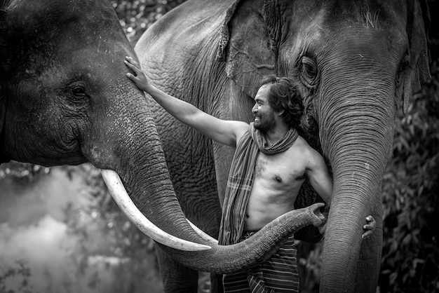 Foto man met olifanten in het bos