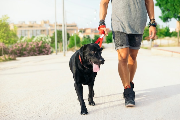 Man met plezier en spelen met zijn hond in het park.