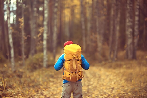 man met rugzak een uitzicht vanaf de achterkant, wandelen in het bos, herfstlandschap, de achterkant van toerist met een rugzak