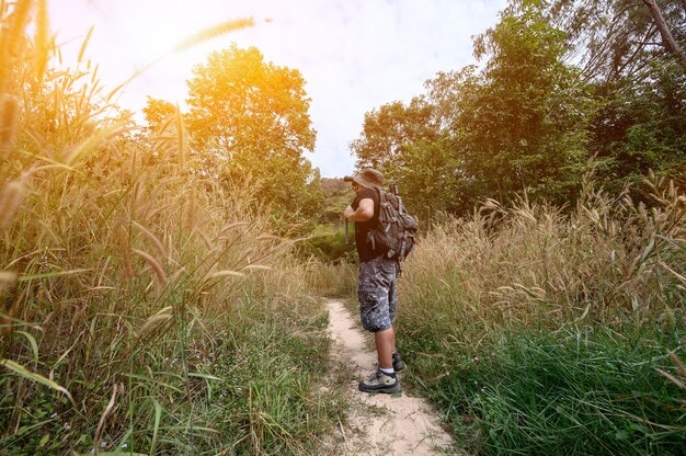 Man met wandeluitrusting en trekking in het bos alleen. Solo buitenactiviteit en recreatie op zomervakantie.