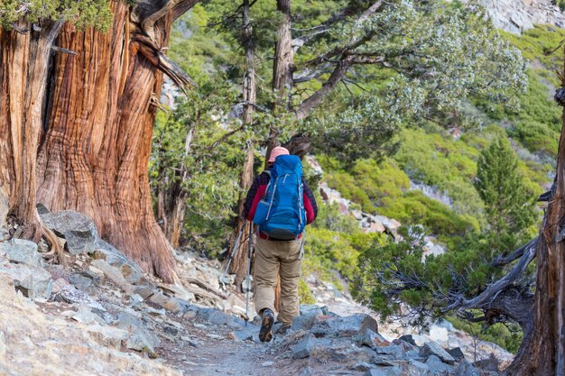 Man met wandeluitrusting wandelen in de bergen van de Sierra Nevada, Californië, VS