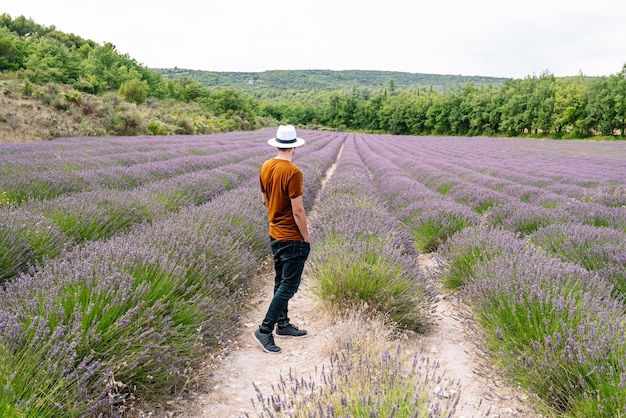 Man in the middle of a lavender field