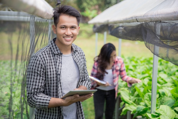 Man in modern hydrophonic farm