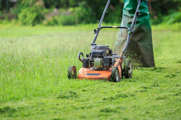 Photo a man mowing grass in the garden