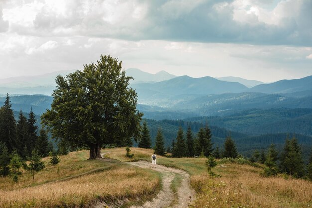 Man near old big beech tree in the mountains