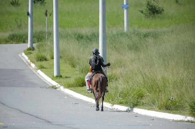 写真 牧草地で牛を探している馬の男