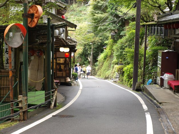 写真 樹木の中の道にいる男