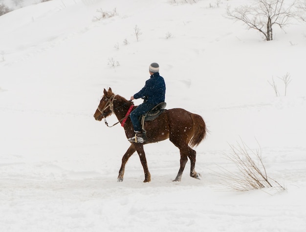 Man op een paard in de winterbergen