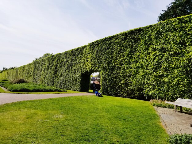 Foto man op groen gras tegen de lucht