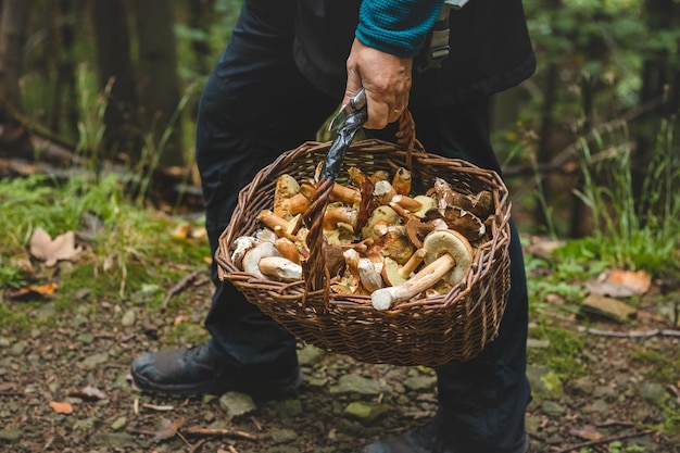 Photo man in outdoor clothing holds a basket full of mushrooms