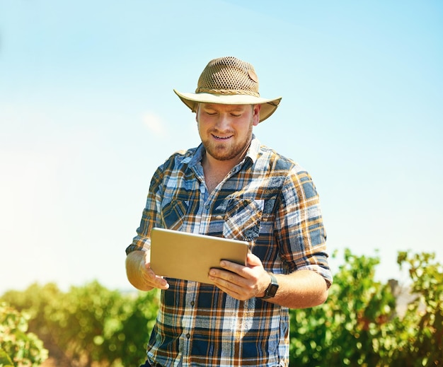 man outdoor and tablet on vineyard or nature for weather tracking digital farming and monitor crop in harvest season farmer winery and online for viticulture application agriculture and schedule