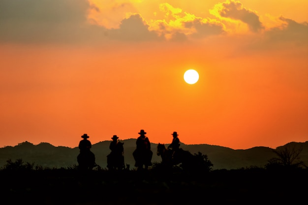 man paardrijden paard in het veld tegen zonsondergang