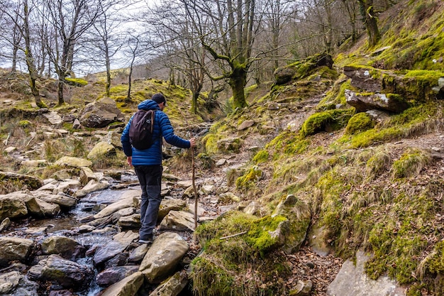 San Sebastian Basque Country 근처의 Urnieta의 Guipuzcoan 시정촌에 있는 Mount Adarra로 오르는 너도밤나무 숲을 통과하는 길에 있는 남자