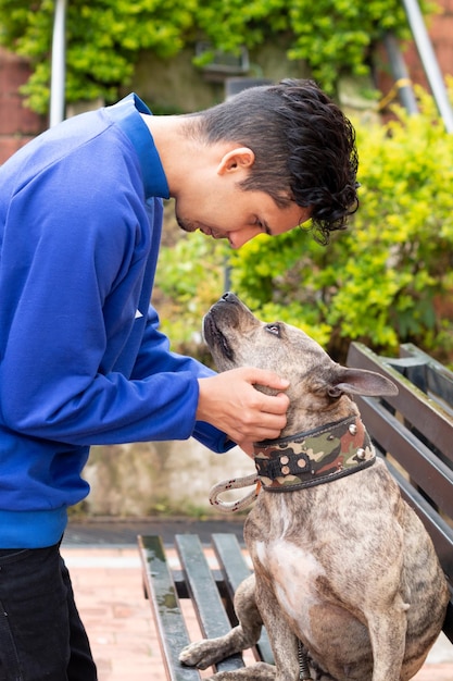 彼のかわいいピットブル犬をかわいがる男オレンジ色の背景に青い服を着て垂直写真