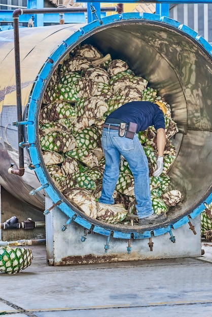 Man piling agave in oven ready to steam it