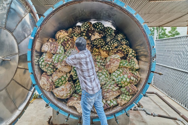 Man piling agave in oven ready to steam it