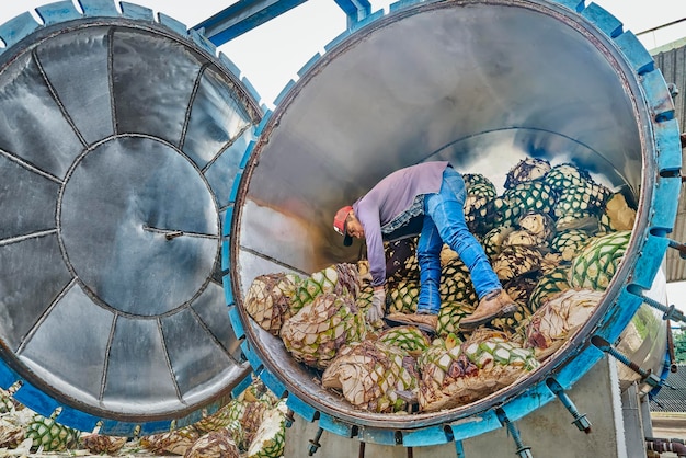 Uomo che impila l'agave in forno pronto a cuocerlo a vapore