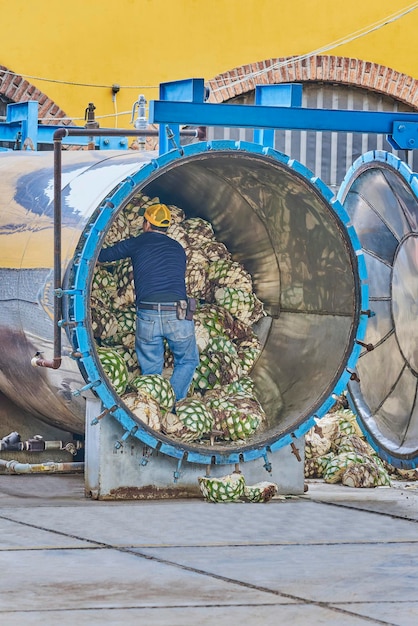 Man piling agave in oven ready to steam it