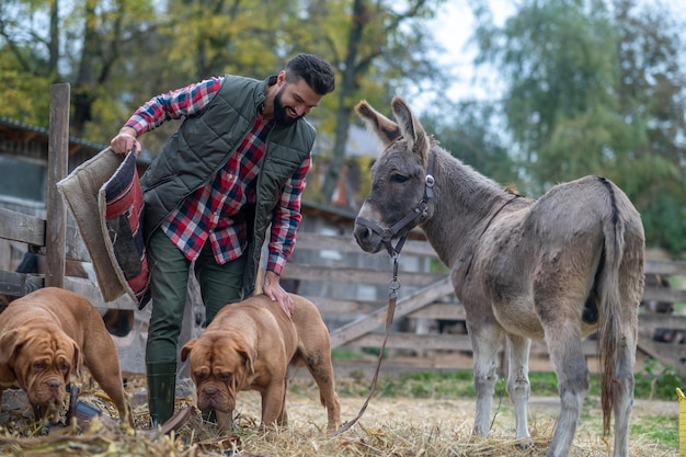 A man in plaid shirt working on cattle-farm