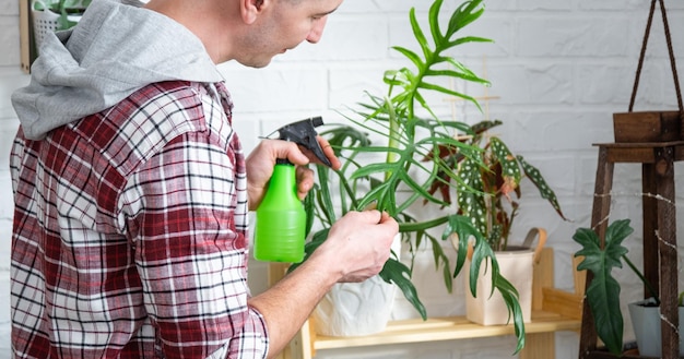 男性の植物育種家は、鉢の中の家庭用植物を調べ、賞賛します 害虫の世話、水やり、肥料の世話、害虫からのおやつの検索 自家製作物の生産