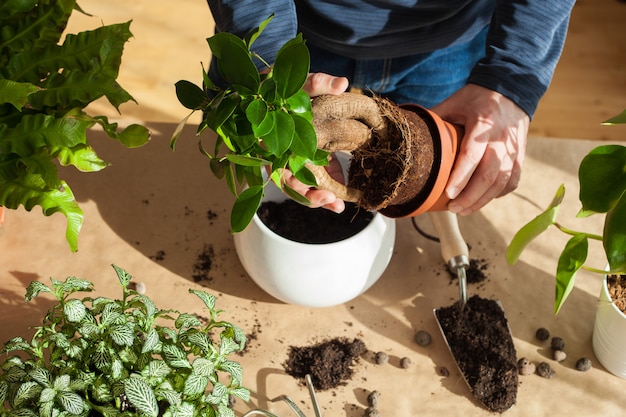 Fiori di placcatura uomo a casa